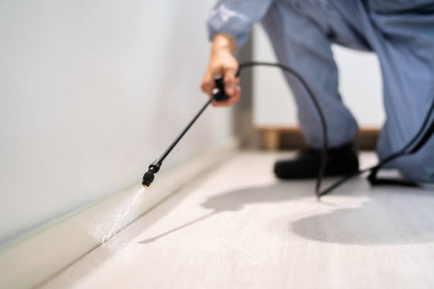 Licensed Fumigation Services service in Kimble County County, TX - Nex Pest Control